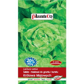 PlantiCo Sałata Królowa Majowych cb1c814f2cb213c68db40d29ba8f1d7a