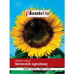 PlantiCo Słonecznik jadalny
