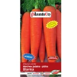 Marchew jadalna Blanka PlantiCo