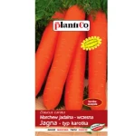 Marchew jadalna Jagna PlantiCo