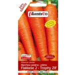 Marchew jadalna Flakkese2-Trophy ZIF PlantiCo