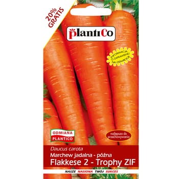 Marchew jadalna Flakkese2-Trophy ZIF PlantiCo 7e5ec2660459e44ddcd8bcaa99b7dc84