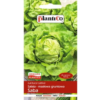 PlantiCo Sałata Saba 34f2be341cd6d66a96f73bfe335daf3c