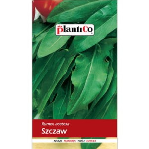 PlantiCo Szczaw