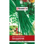 PlantiCo Szczypiorek ogrodowy