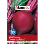 PlantiCo Burak ćwikłowy Czerwona Kula 2
