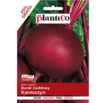 PlantiCo Burak ćwikłowy Karmazyn