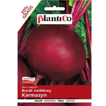 PlantiCo Burak ćwikłowy Karmazyn 841d28a65868f295c52e7911a79a1c51