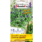 PlantiCo Lawenda lekarska