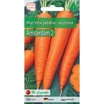 Marchew jadalna Amsterdam 2 - wczesna 3 g Seria bazowa Legutko 9e3c9e9e37eeddb84f8b9b9bed51ef2f