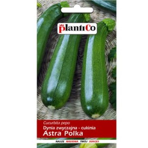 Dynia zwyczajna -cukinia Astra Polka PlantiCo