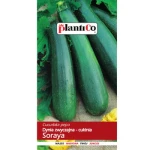 Cukinia Soraya PlantiCo