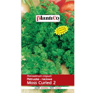 Pietruszka Moss Curled 2 PlantiCo