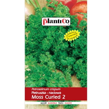 Pietruszka Moss Curled 2 PlantiCo b2ac118dc586ad263f6c3aad67fe7233