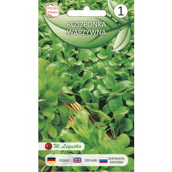 Roszponka warzywna Verte de Cambrai 1,5 g Seria bazowa Legutko 64612472011925504b42f5f9ee2bbd3c