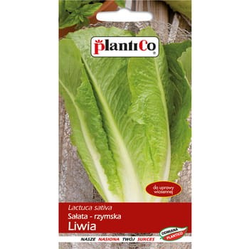 Sałata Liwia PlantiCo f070f6d2cd8af2b74e3b0581f7548c65