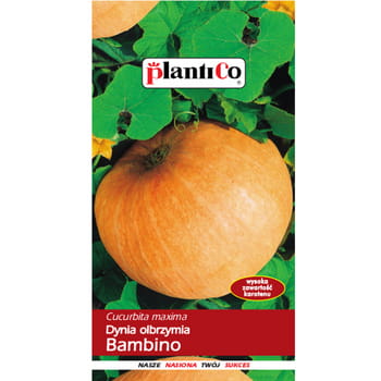 Dynia olbrzymia Bambino PlantiCo 6905d0e93cbceeed7af25b5db1c8beaa