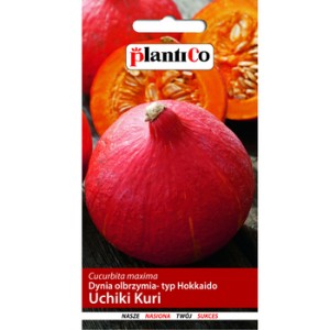 Dynia olbrzymia Uchiki Kuri, typ Hokkaido PlantiCo