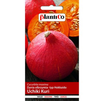 Dynia olbrzymia Uchiki Kuri, typ Hokkaido PlantiCo Dynia olbrzymia Uchiki Kuri, typ Hokkaido PlantiCo