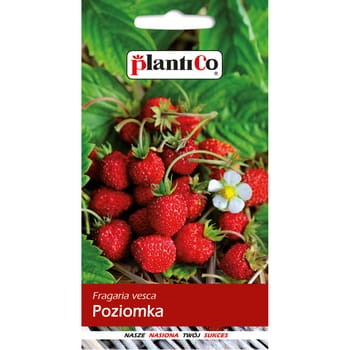 Poziomka PlantiCo 425b41220dd187dca57e90b4aa2bb9f1