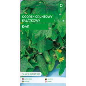 Ogórek gruntowy sałatkowy Dar - krzaczasty Legutko