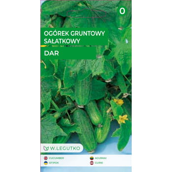 Ogórek gruntowy sałatkowy Dar - krzaczasty Legutko e3984062d29fd61702b69a2d58648f7a