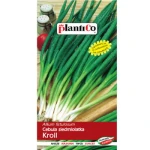 Cebula siedmiolatka Kroll PlantiCo
