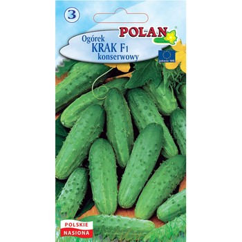Ogórek Krak Polan Ogórek Krak Polan