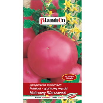 Pomidor Malinowy Warszawski PlantiCo 9c06c306c01a610dce945c6538ddc91b