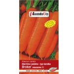 Marchew jadalna Broker F1 PlantiCo