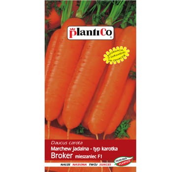 Marchew jadalna Broker F1 PlantiCo fcad197d92bf0e294521dc6073a70915