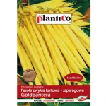 PlantiCo Fasola zwykła karłowa Goldpantera