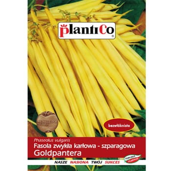 PlantiCo Fasola zwykła karłowa Goldpantera fb3b2c9255bf639bd9b839a2aa2964ea