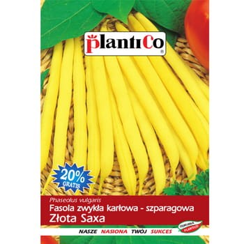 PlantiCo Fasola zwykła karłowa Złota Saxa 9af352fae790e2819e651a919f495a6c
