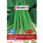 PlantiCo Fasola zwykła karłowa Majorka