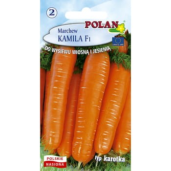 Marchew Kamila Polan 3ce05d3d1ebe810ad80d7fa33a0cbd68
