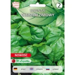 Szpinak Olbrzym Zimowy 10 g Seria bazowa Legutko