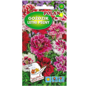 Goździk chiński pełny mieszanka 3e1fd913f16684ab92825fa68e89e7e8