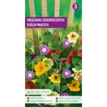 Legutko Mieszanka jednorocznych roślin pnących 1,5 l