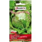 Sałata Carmina PlantiCo