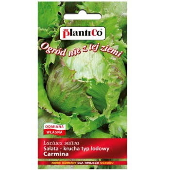 Sałata Carmina PlantiCo 35dcf7a2cd616e474519d51c4a6333e5
