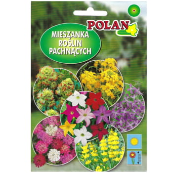 Mieszanka kwiatów pachnąca f9ded958622c7c37e5623ec827f19e79