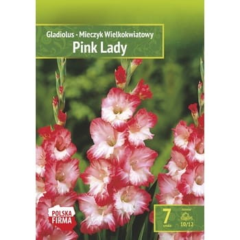 Kapers Gladiolus Mieczyk Pink Lady 10/12 7szt. 1a4dc9609878ffadf3452815eaddbb9e