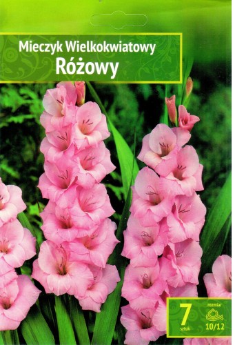 Mieczyk Różowy Benex Mieczyk Różowy Benex