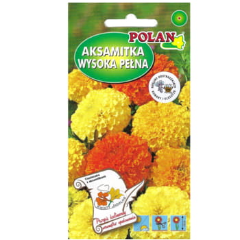 Aksamitka wyniosła mieszanka 106b9c10e41368064de484e56ef71c38