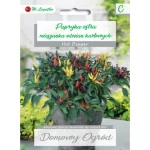Papryka mieszanka odmian karłowych Legutko