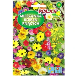 Mieszanka kwiatów pnąca