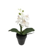 Sztuczna roślina storczyk 31 cm Comfort Living