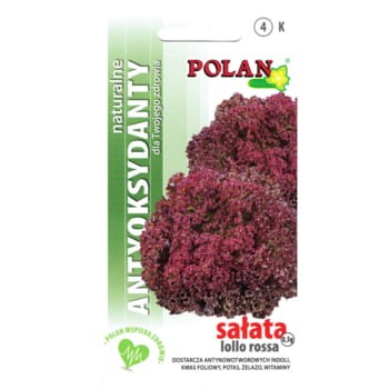 Sałata liściowa Lollo rossa d53baaac11c886d7321993794adee4bf