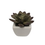 Sztuczny kaktus 8 cm Comfort Living